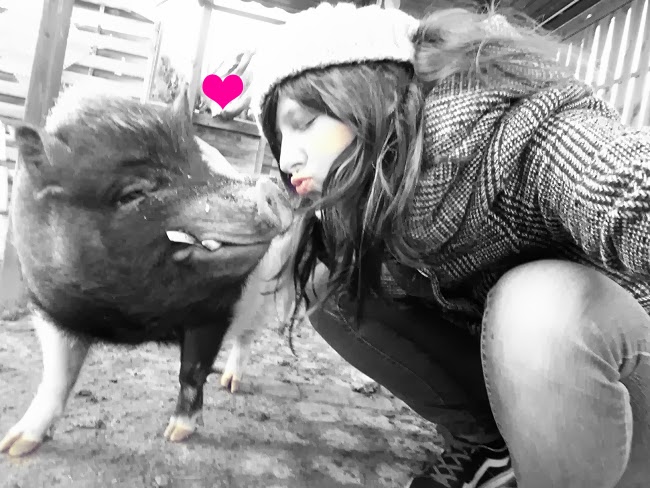 Schwein Bruno und ich