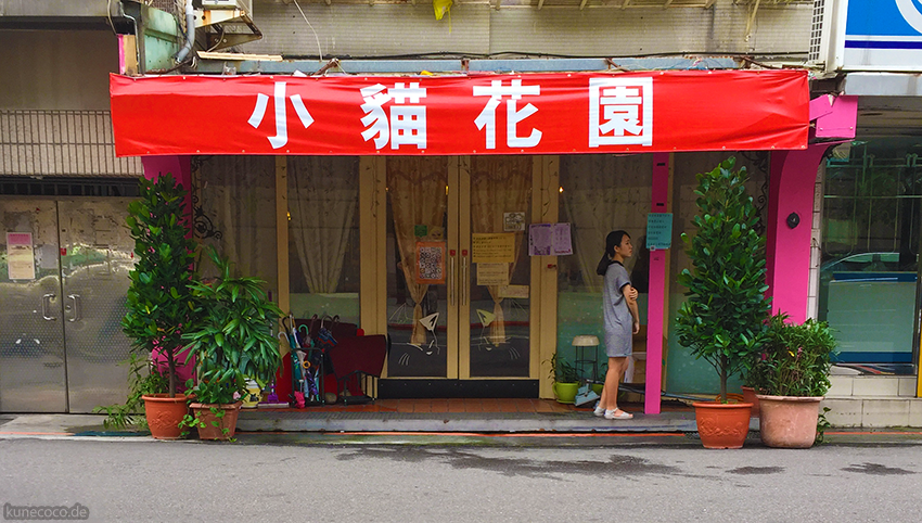 Taipei Cat Café