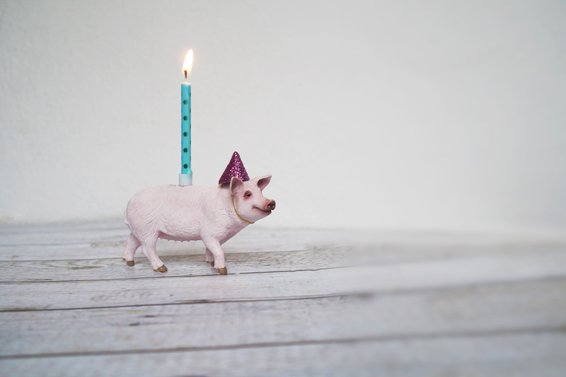 DIY Schweine-Kerzenhalter und 5 Jahre KuneCoco!