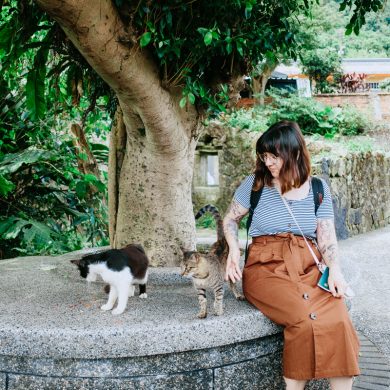 Houtong Cat Village • Katzenstadt in Taiwan